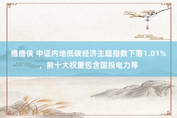 撸撸侠 中证内地低碳经济主题指数下落1.01%，前十大权重包含国投电力等