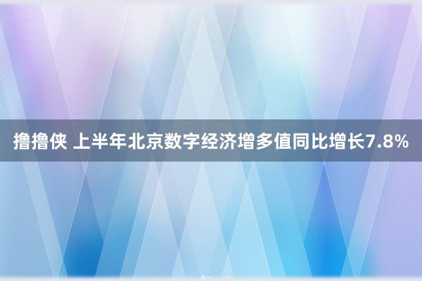 撸撸侠 上半年北京数字经济增多值同比增长7.8%