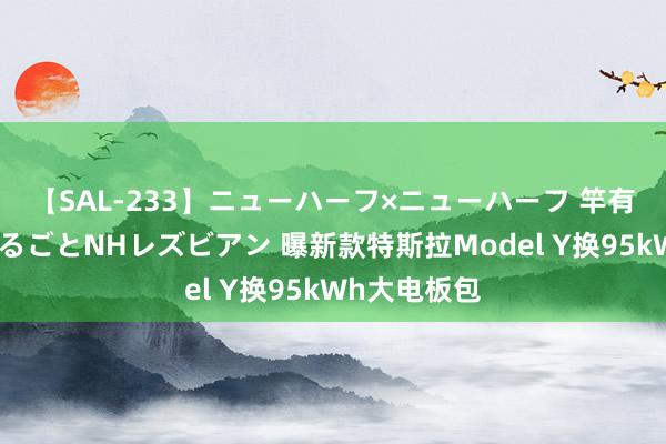 【SAL-233】ニューハーフ×ニューハーフ 竿有り同性愛まるごとNHレズビアン 曝新款特斯拉Model Y换95kWh大电板包