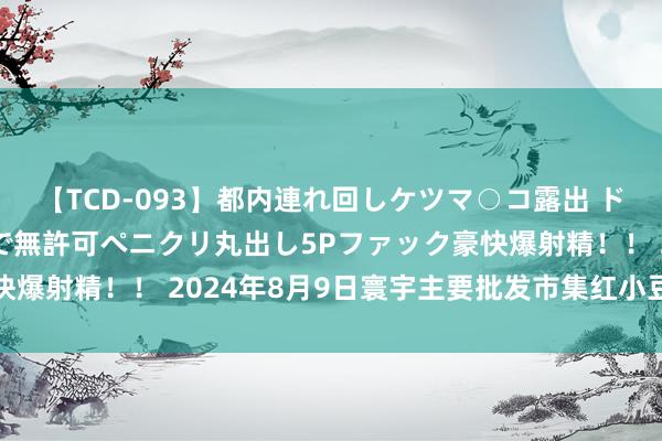 【TCD-093】都内連れ回しケツマ○コ露出 ド変態ニューハーフ野外で無許可ペニクリ丸出し5Pファック豪快爆射精！！ 2024年8月9日寰宇主要批发市集红小豆价钱行情