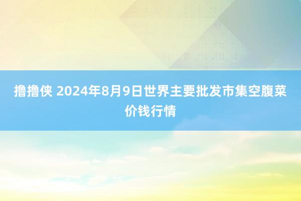 撸撸侠 2024年8月9日世界主要批发市集空腹菜价钱行情