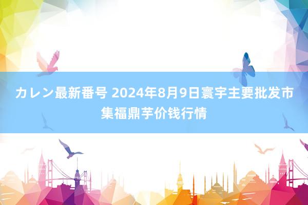 カレン最新番号 2024年8月9日寰宇主要批发市集福鼎芋价钱行情