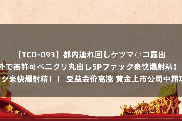 【TCD-093】都内連れ回しケツマ○コ露出 ド変態ニューハーフ野外で無許可ペニクリ丸出し5Pファック豪快爆射精！！ 受益金价高涨 黄金上市公司中期功绩向好