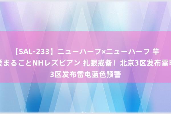 【SAL-233】ニューハーフ×ニューハーフ 竿有り同性愛まるごとNHレズビアン 扎眼戒备！北京3区发布雷电蓝色预警