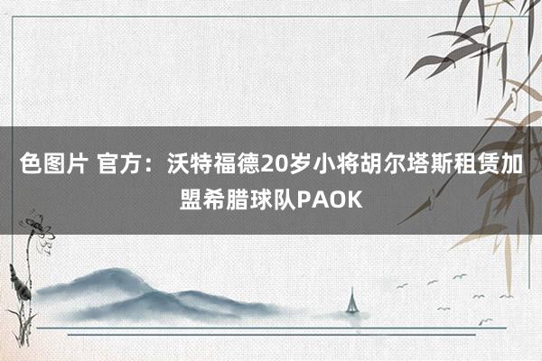 色图片 官方：沃特福德20岁小将胡尔塔斯租赁加盟希腊球队PAOK