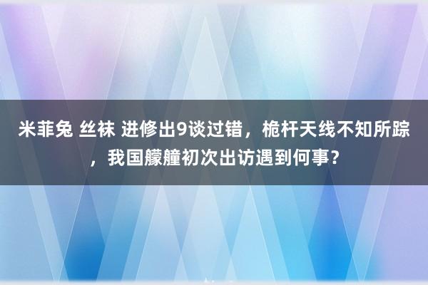 米菲兔 丝袜 进修出9谈过错，桅杆天线不知所踪，我国艨艟初次出访遇到何事？