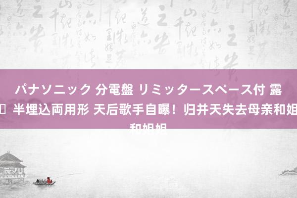 パナソニック 分電盤 リミッタースペース付 露出・半埋込両用形 天后歌手自曝！归并天失去母亲和姐姐