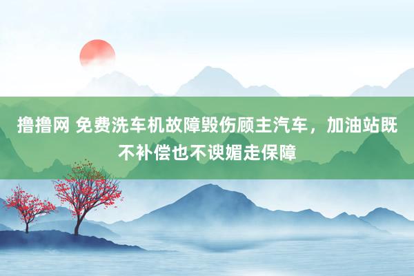 撸撸网 免费洗车机故障毁伤顾主汽车，加油站既不补偿也不谀媚走保障