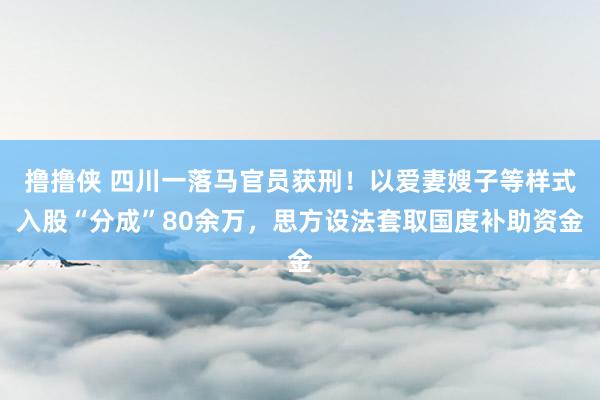 撸撸侠 四川一落马官员获刑！以爱妻嫂子等样式入股“分成”80余万，思方设法套取国度补助资金