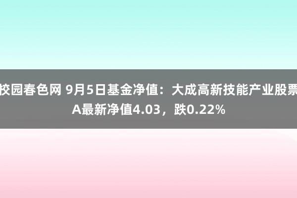 校园春色网 9月5日基金净值：大成高新技能产业股票A最新净值4.03，跌0.22%