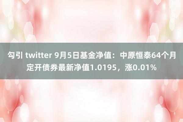 勾引 twitter 9月5日基金净值：中原恒泰64个月定开债券最新净值1.0195，涨0.01%