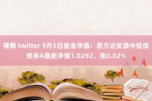 裸舞 twitter 9月5日基金净值：易方达安源中短债债券A最新净值1.0292，涨0.02%