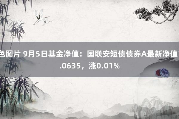 色图片 9月5日基金净值：国联安短债债券A最新净值1.0635，涨0.01%