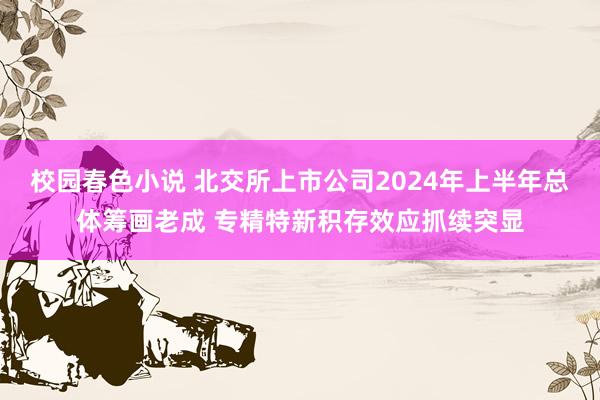 校园春色小说 北交所上市公司2024年上半年总体筹画老成 专精特新积存效应抓续突显