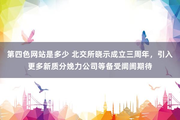 第四色网站是多少 北交所晓示成立三周年，引入更多新质分娩力公司等备受阛阓期待