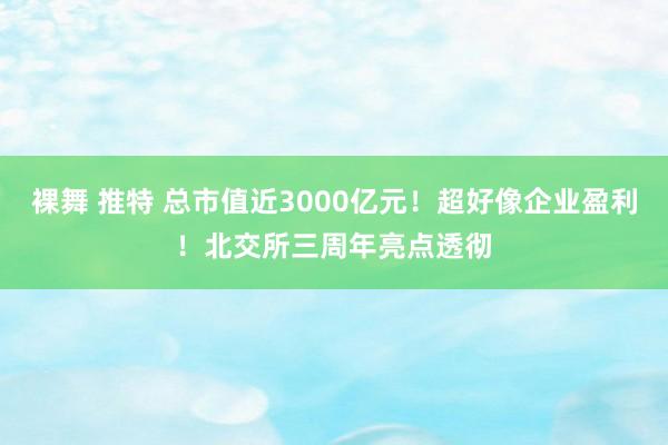 裸舞 推特 总市值近3000亿元！超好像企业盈利！北交所三周年亮点透彻