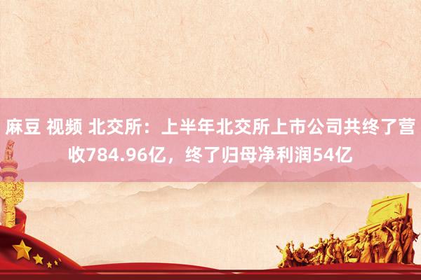 麻豆 视频 北交所：上半年北交所上市公司共终了营收784.96亿，终了归母净利润54亿