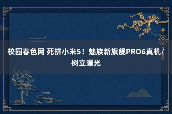 校园春色网 死拼小米5！魅族新旗舰PRO6真机/树立曝光