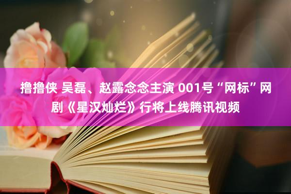 撸撸侠 吴磊、赵露念念主演 001号“网标”网剧《星汉灿烂》行将上线腾讯视频