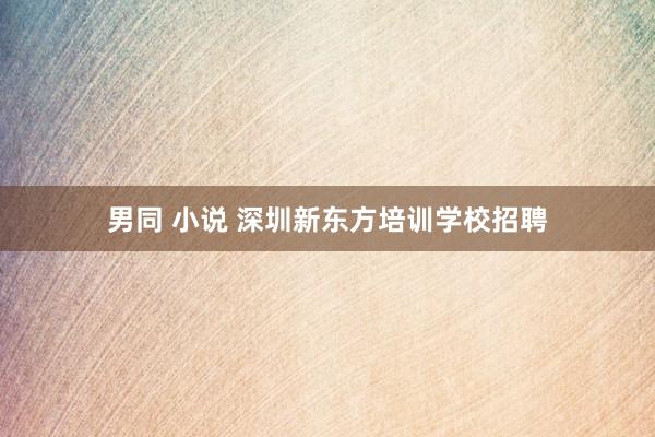 男同 小说 深圳新东方培训学校招聘